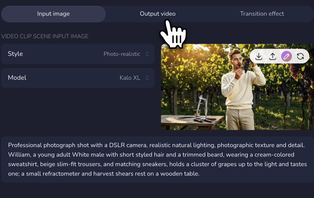 Output video controls