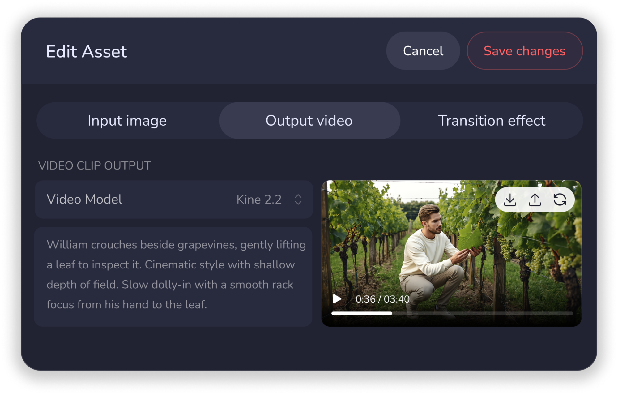 Output video preview